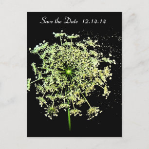 Save The Date Queen Anne's Lace Announcement Postcard