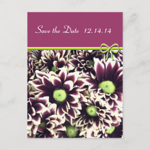 Save The Date  Queen Anne's Lace Announcement Postcard