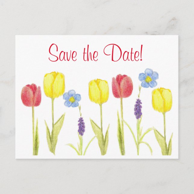 Save The Date Red Yellow Tulip Flowers Announcement Postcard (Front)
