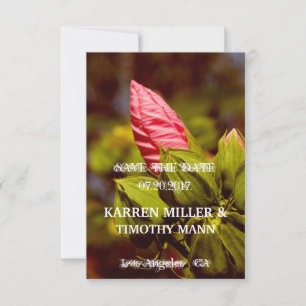 Save the Date Romantic Floral Chic Invitation