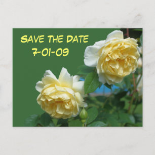 Save The Date Roses Flower Photo Postcard