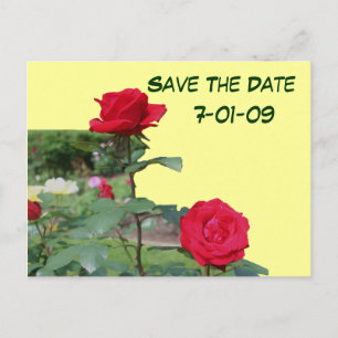 Save The Date Roses Flower Photo Postcard