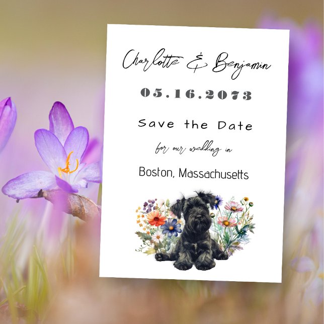 Save the Date Schnauzer Dog Wedding Announcement (Creator Uploaded)