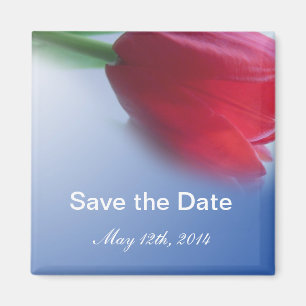 Save the Date,Single red tulip flower Magnet