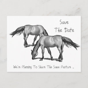 Save The Date: Two Horses: Getting Hitched Announcement Postcard