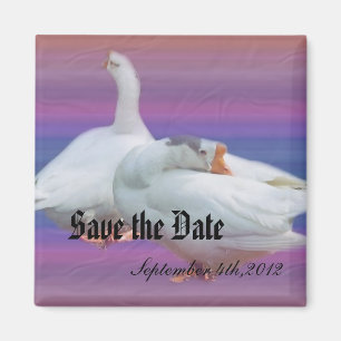 save the date, two white geese in fancy backgrou magnet