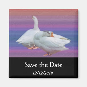 Save the date, two white geese. magnet