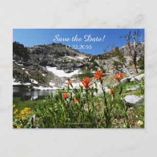 Save the Date Vow Renewal Ceremony Announcement Postcard