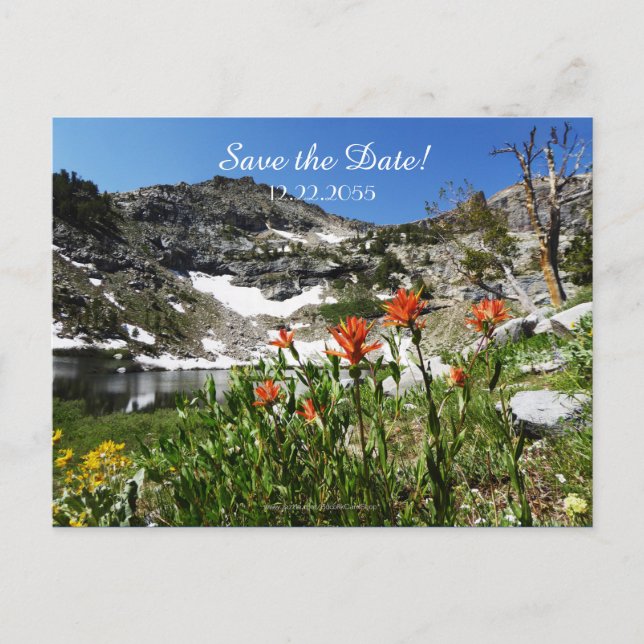 Save the Date Vow Renewal Ceremony Announcement Postcard (Front)