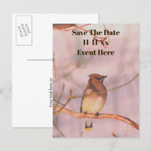 Save The Date Waxwing Nature Personalised Announcement Postcard