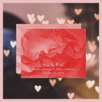 Save the Date Wedding Announcement Coral Pink