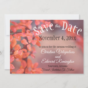 Save The Date Wedding Autumn Leaves Framing Bokeh Announcement