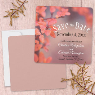 Save The Date Wedding Autumn Leaves Framing Bokeh Announcement