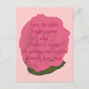 Save the date wedding postcards, pink rose announcement postcard