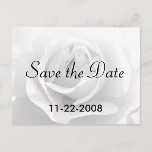 Save the Date White Rose Announcement Postcard