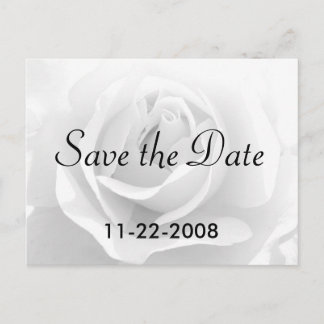 Save the Date White Rose Announcement Postcard