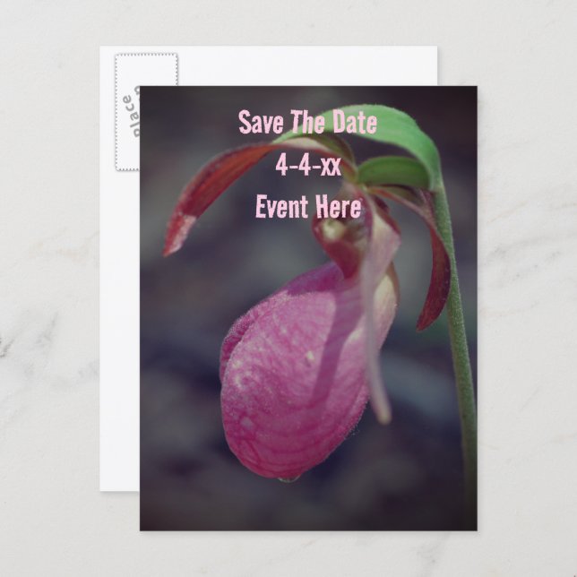 Save The Date Wild Pink Lady Slipper Flower  Announcement Postcard (Front/Back)