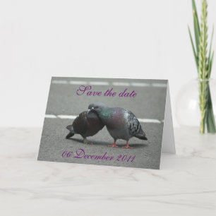 save the date with pigeons announcement