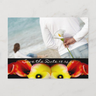 Save The Date with Your Photos Announcement Postcard