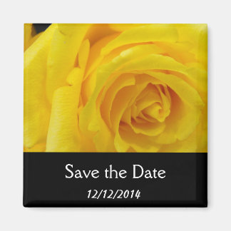 Save the date, yellow rose flower magnet