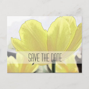 Save the date, yellow tulip flowers art photo announcement postcard