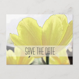 Save the date, yellow tulip flowers art photo announcement postcard
