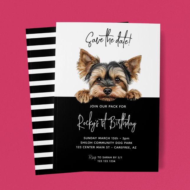 Save the Date Yorkshire Terrier Dog 1st Birthday (Creator Uploaded)