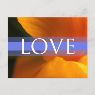 Save The Dates Pictures Postcards