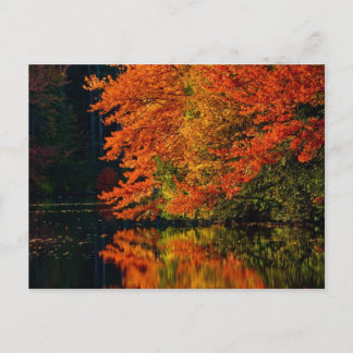 Save The Dates Pictures Postcards For Weddings