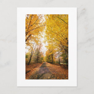 Save The Dates Wedding Picture Fall Autumn Announc Announcement Postcard