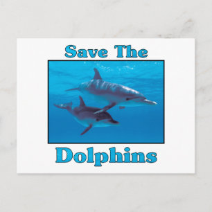 Save the Dolphins Postcard