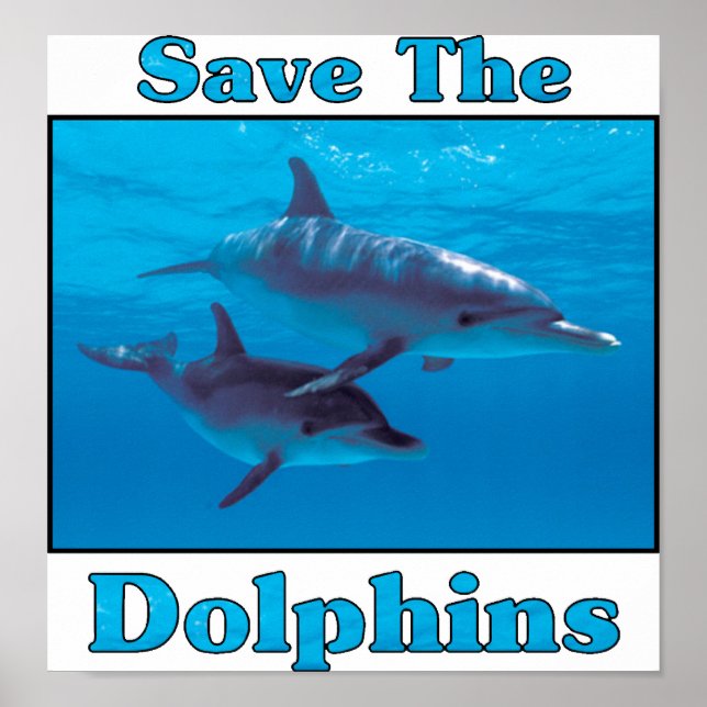 Save the Dolphins Poster (Front)