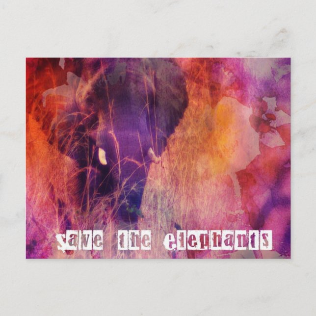 Save the Elephants Colourful Grunge Digital Art Postcard (Front)