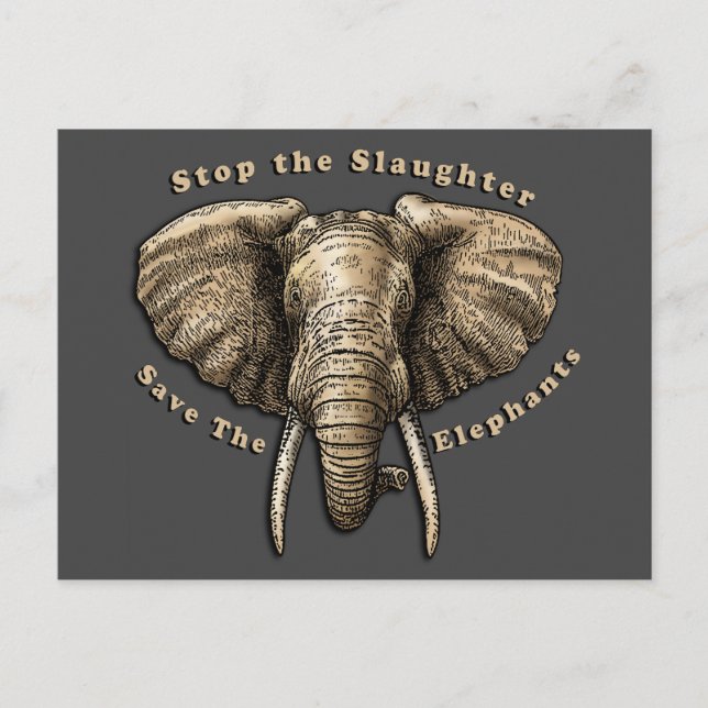 Save the Elephants Graphic Postcard (Front)
