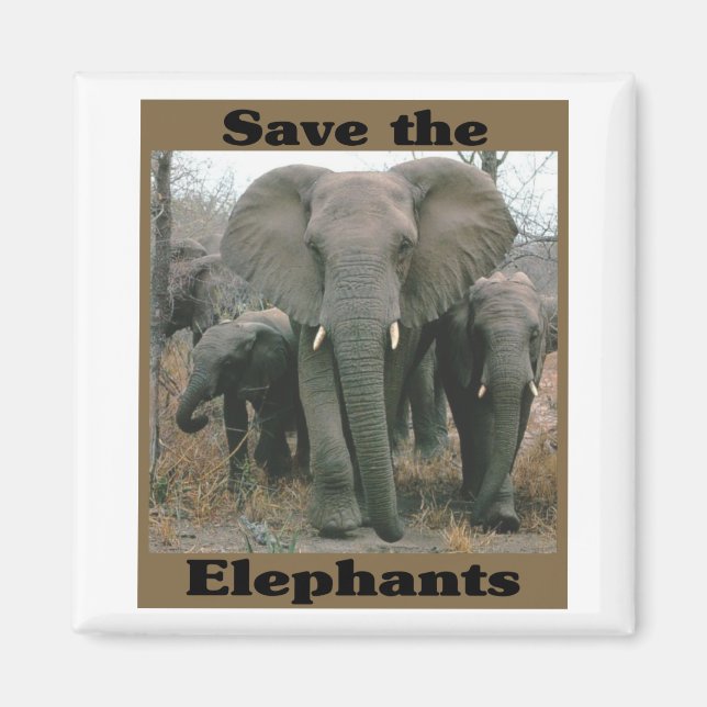 Save the Elephants Magnet (Front)