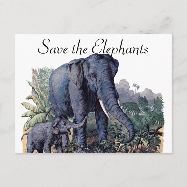 Save the Elephants Postcard (Front)