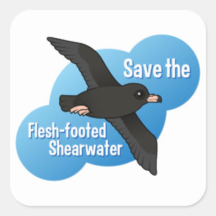 Save the Flesh-footed Shearwater Square Sticker
