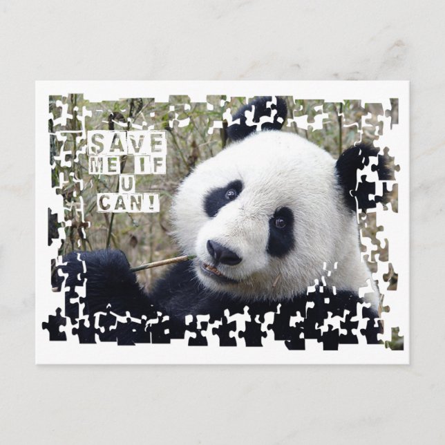 Save The Giant Panda Postcard (Front)