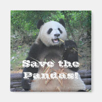 Save the Giant Pandas Magnet
