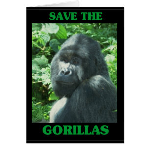 Save the Gorillas