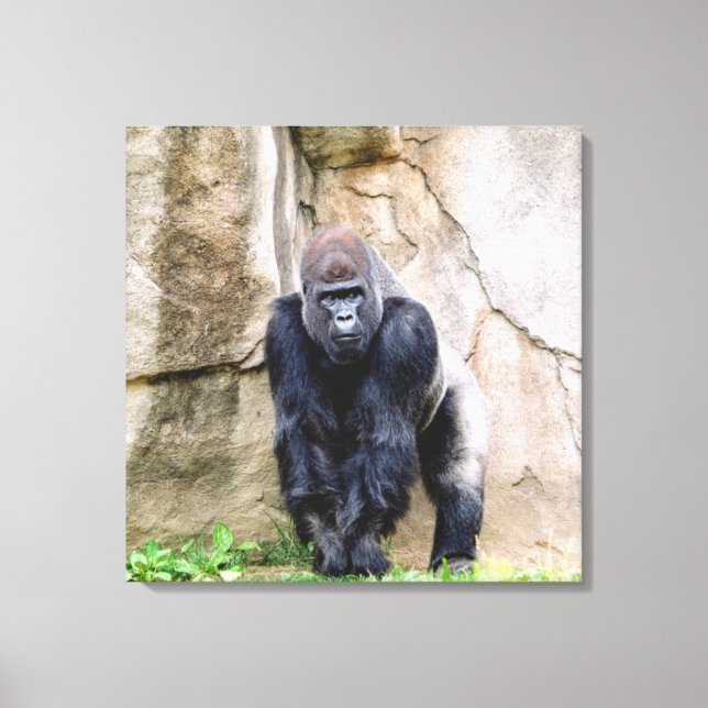 Save The Gorillas Canvas Print (Front)