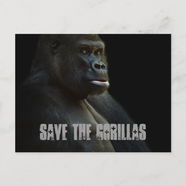 Save The Gorillas Postcard (Front)