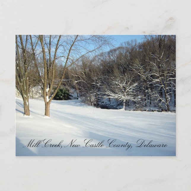 Save the Mill Creek Flood Plain Winter Postcard (Front)