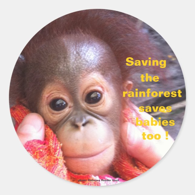 Save the Orangutans and Rainforest Classic Round Sticker (Front)