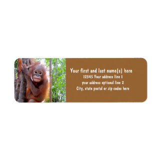 Save the Orangutans with Baby Uttuh