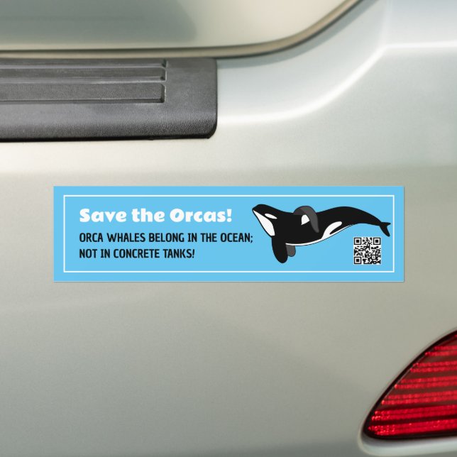 Save the Orcas Customizable  Bumper Sticker (On Car)