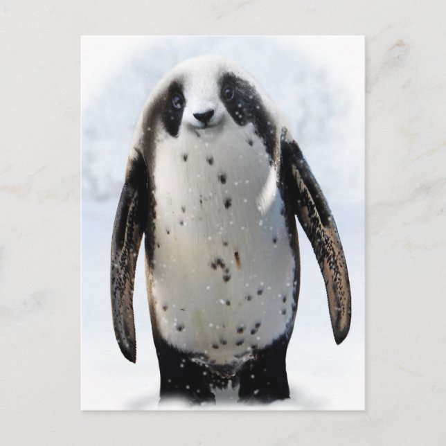 Save the Panguin! Postcard (Front)