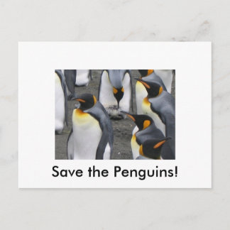Save the Penguins! Postcard