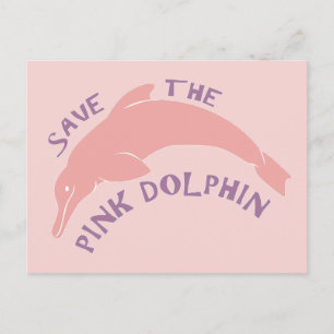 Save the Pink Dolphin Postcard