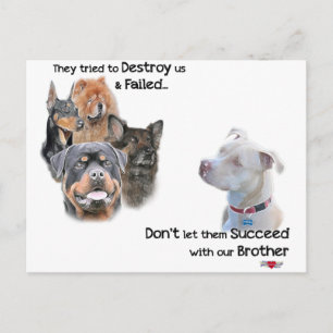 Save the Pitbull Postcard